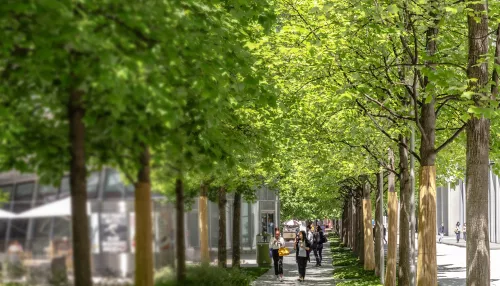 Životní prostředí, sociální a správní aspekty
